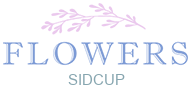 flowerdeliverysidcup.co.uk